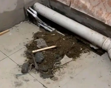 天全卫生间漏水检测哪家好